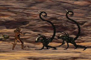 半岛bob·体育官方网站